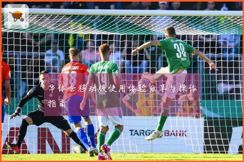 华体会移动版使用体验分享与操作指南