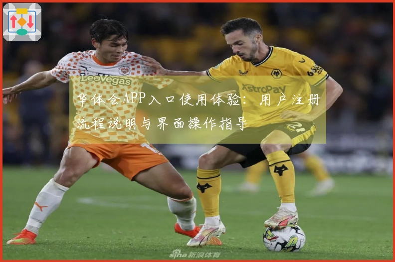 华体会APP入口使用体验：用户注册流程说明与界面操作指导