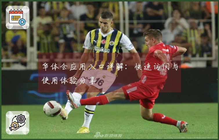 华体会应用入口详解：快速访问与使用体验分享